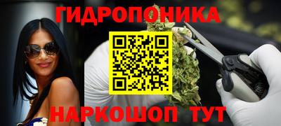 дживик Кингисепп