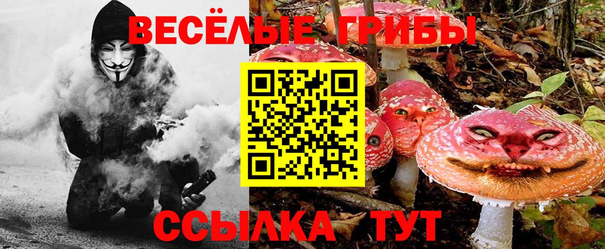 Псилоцибиновые грибы Cubensis  сколько стоит  Краснокаменск  Вход с VPN 