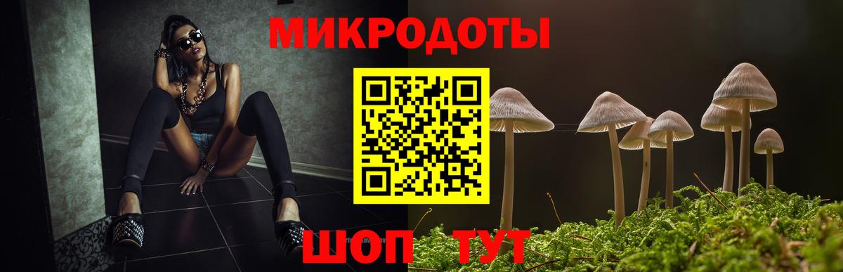 Псилоцибиновые грибы мицелий Краснокаменск